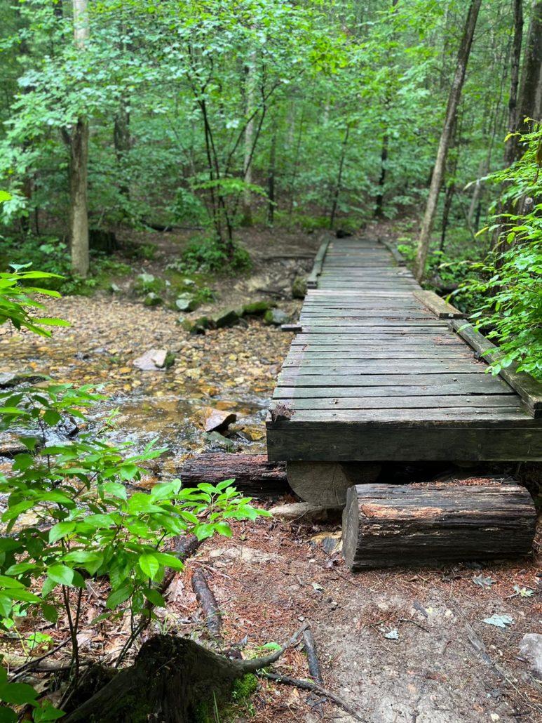 A simple plank bridge stretches over a small creek in a wooded area. 