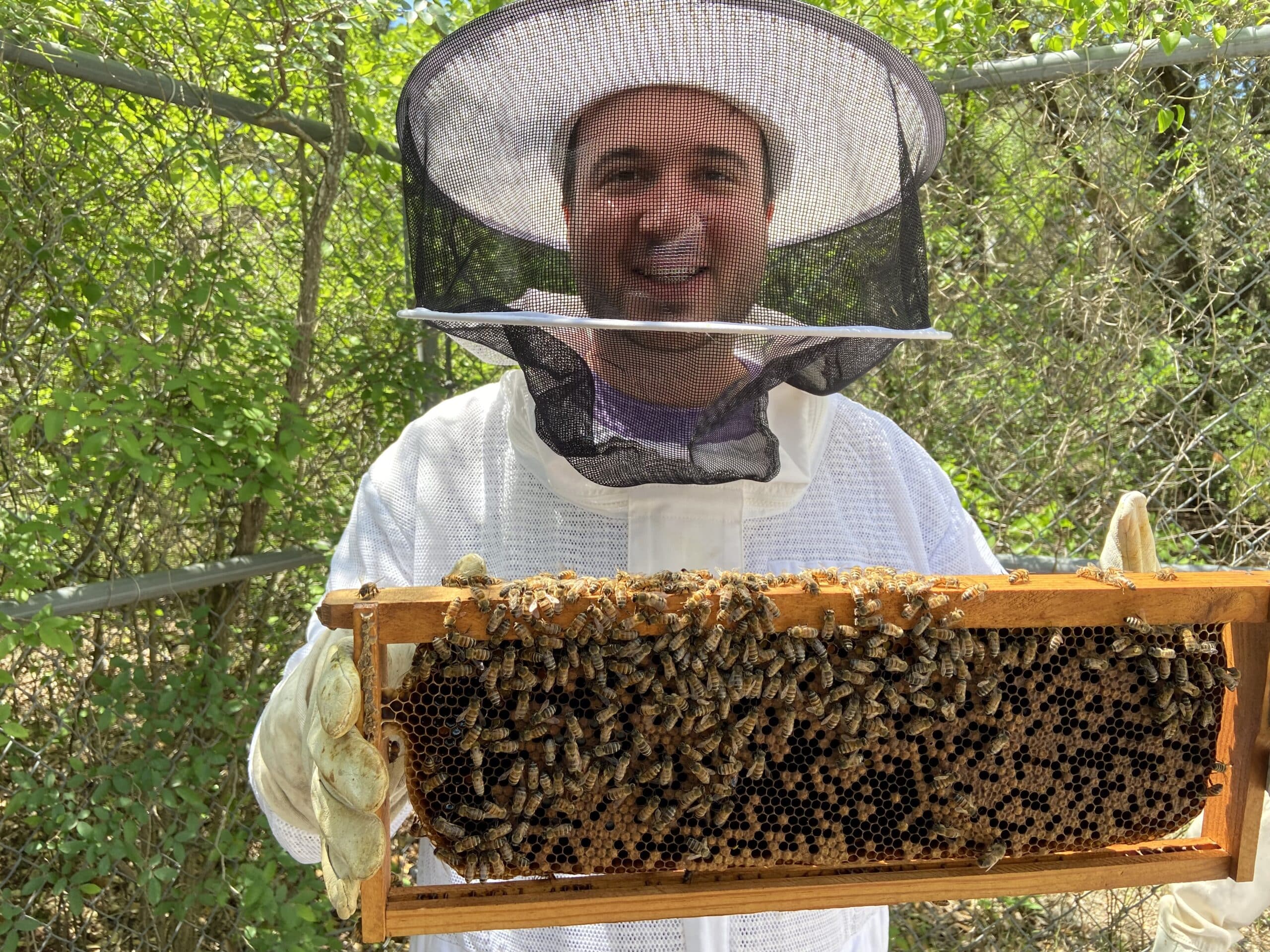 Josh handles some bees. 