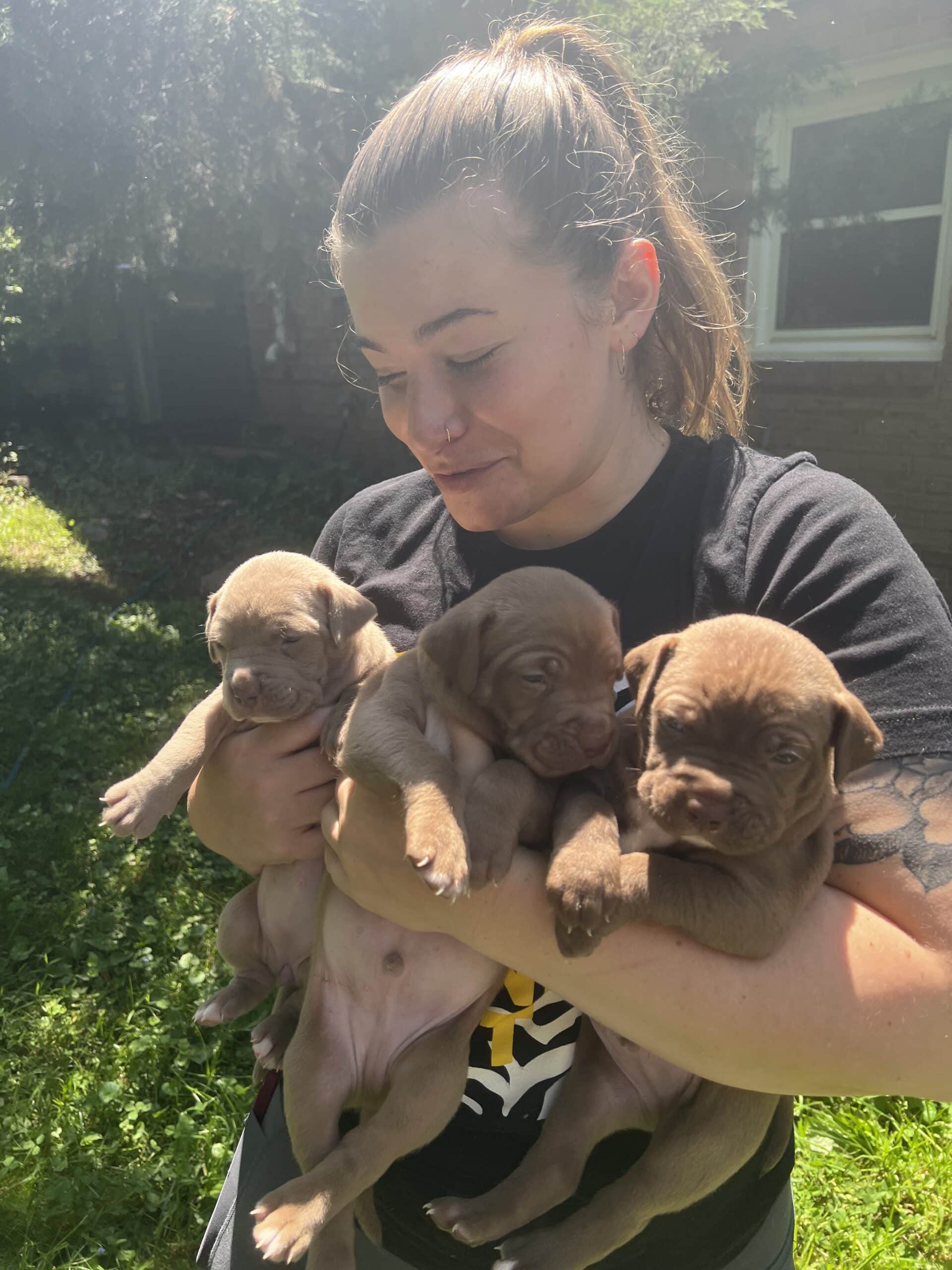 Maya and some puppies.