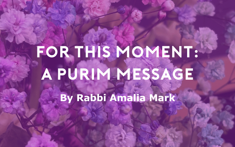 Flowers with a purple overlay. Text: For this Moment: a Purim Message by Rabbi Amalia Mark