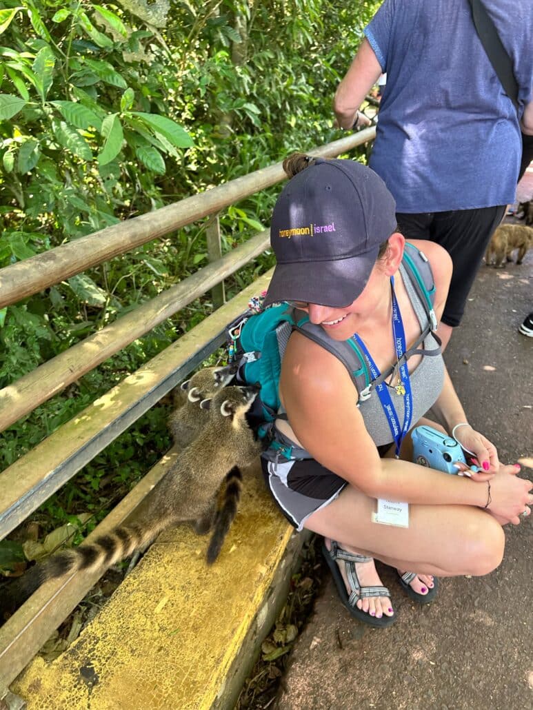Naomi with two lemurs exploring her backpack. 