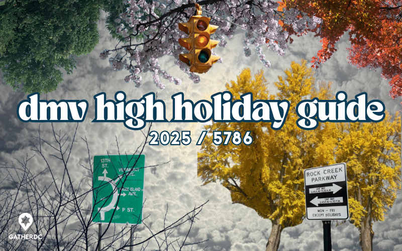 A collage of winter, spring, summer, and fall foliage over a cloudy, sunlit sky. Text: dmv high holiday guide 5786 / 2025