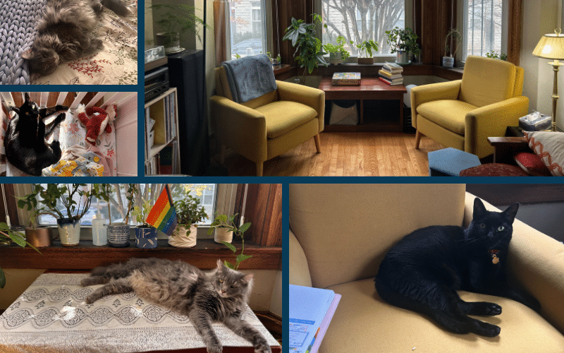 A collage of cats and cozy spaces.