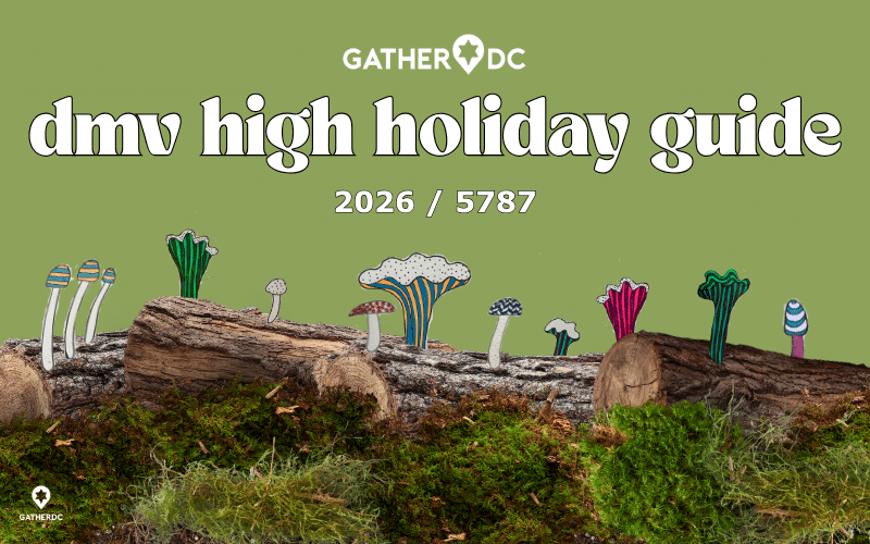 moss and logs peppered with bright handrawn mushrooms. Text: dmv high holiday guide 2026 / 5787