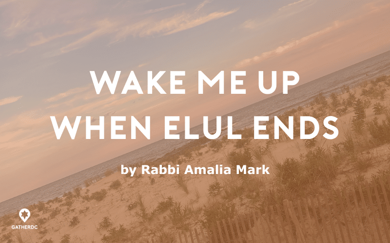 A shoreline, twisted at 45 degrees. Text: Wake Me Up When Elul Ends by Rabbi Amalia Mark